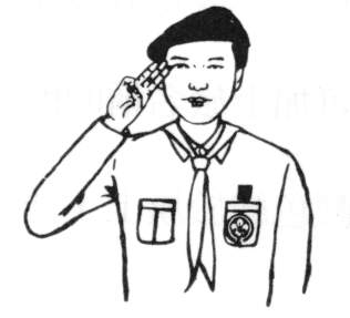 Scout Salute