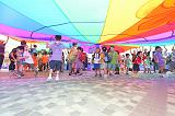 第347張相片